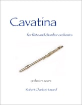 Cavatina for flute and orchestra Orchestra sheet music cover